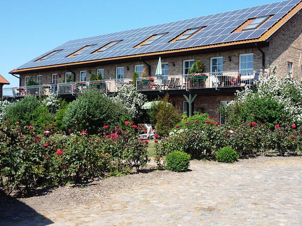 Rosenbeet vor der Scheune