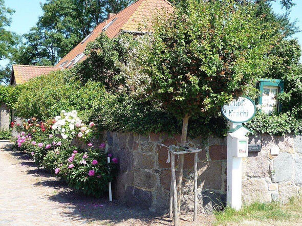 Pfingstrosen am Haus