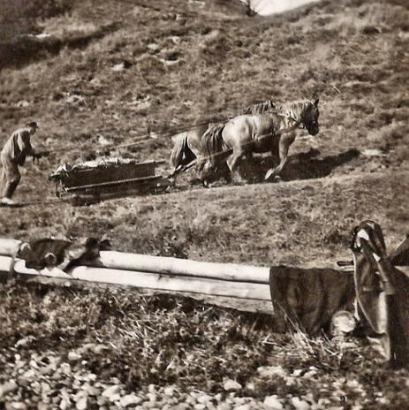 1952 Aalfang mit Pferd und Wagen die Lieth hoch