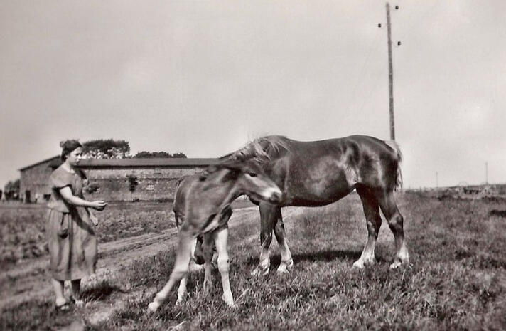 Irene Kracht 1939 Irene Kracht 1939