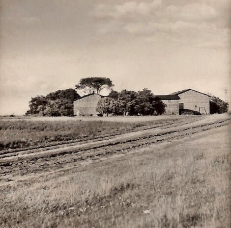 1952 Hof Kracht von Juliusruh aus gesehen 1952 Hof Kracht von Juliusruh aus gesehen
