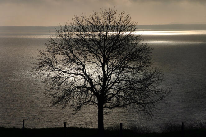 Lichtstimmung Lichtstimmung