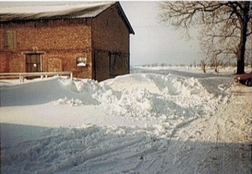 1995 Winter 1995 Winter