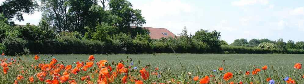 Blick auf Hof Kracht